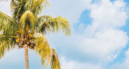 Costa A6 Beautiful Beachfront Property