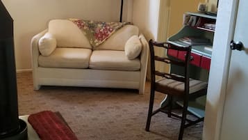 Flat-screen TV, fireplace, Netflix, DVD player