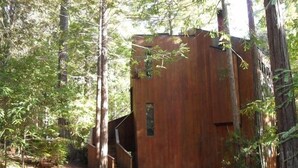 A rustic cabin surrounded by tall trees. - Dog-Friendly, Secluded Redwoods Getaway With Private Hot Tub (Sea Ranch)