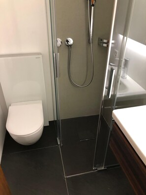 Combined shower/tub, hair dryer, towels, toilet paper