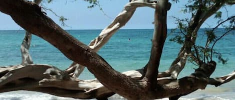 Sun-loungers, beach towels