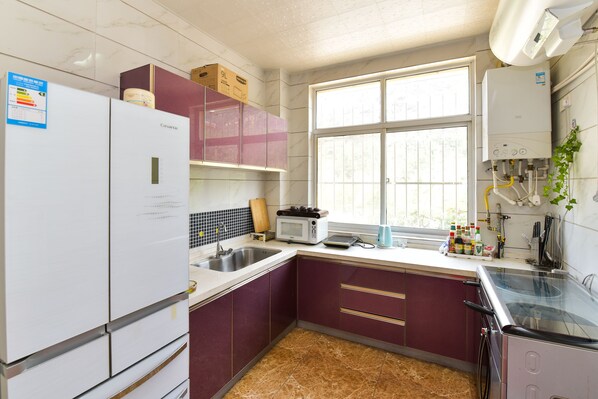 Apartment, Mountain View | Private kitchen