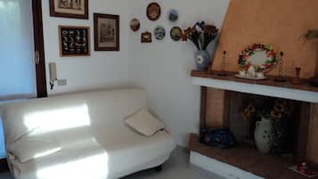 Televisión, chimenea, videojuegos y reproductor de DVD