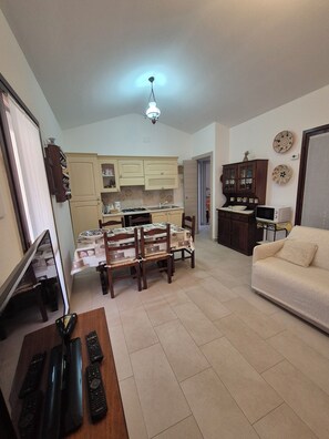 TV, fireplace, video games, DVD player