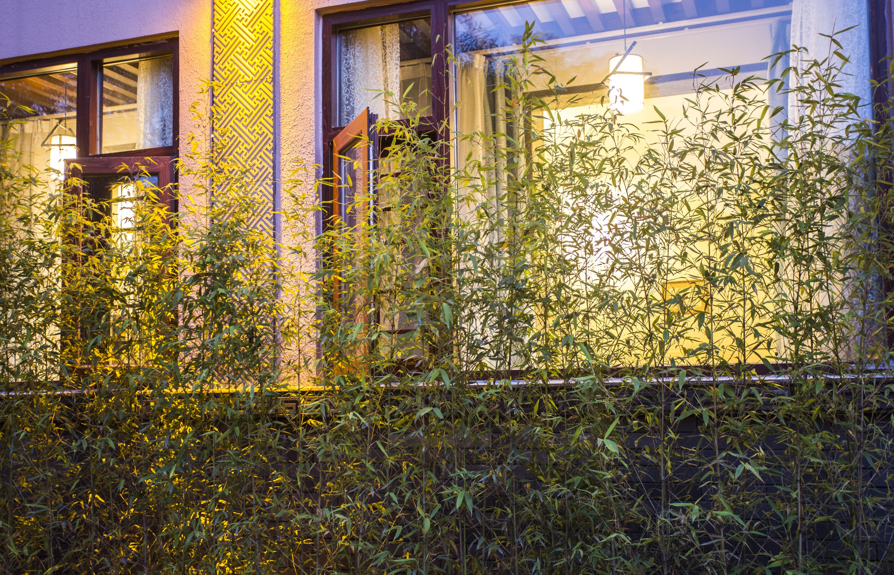 furong double room | premium bedding, select comfort beds, in-room safe