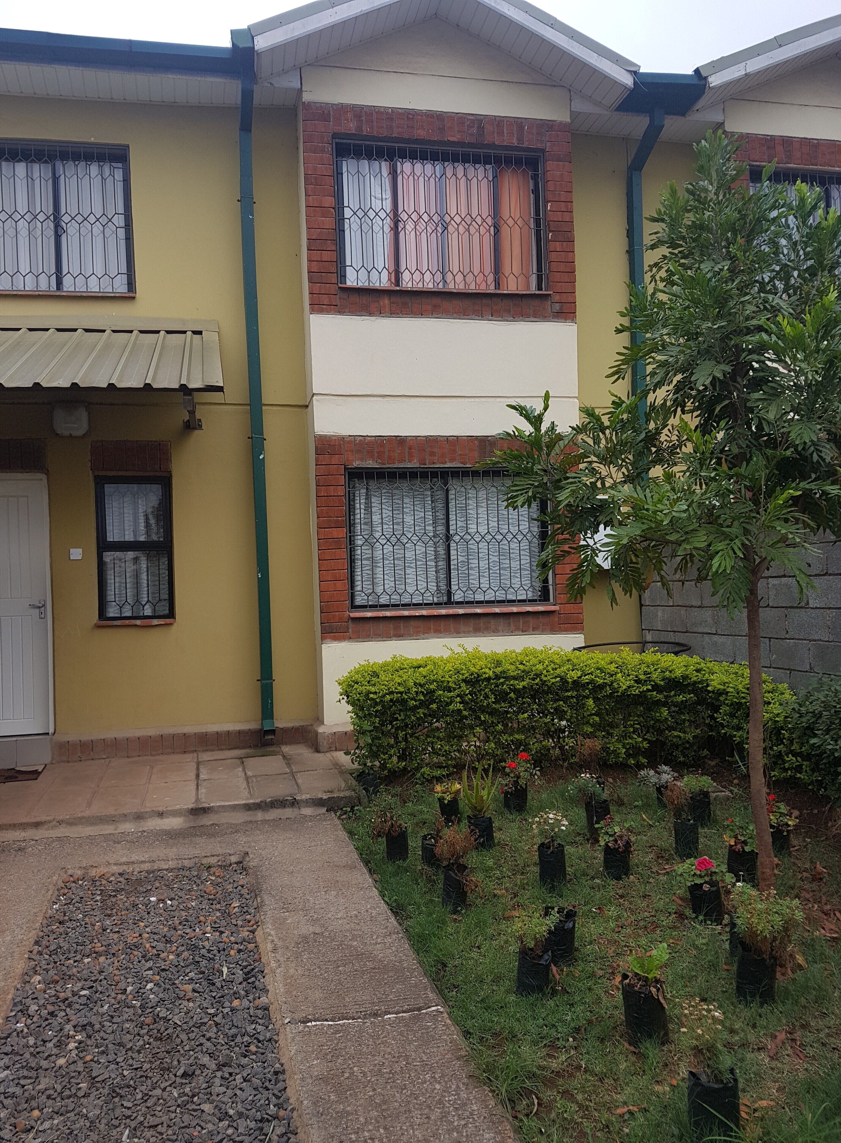 المنطقة المحيطة بالمنشأة