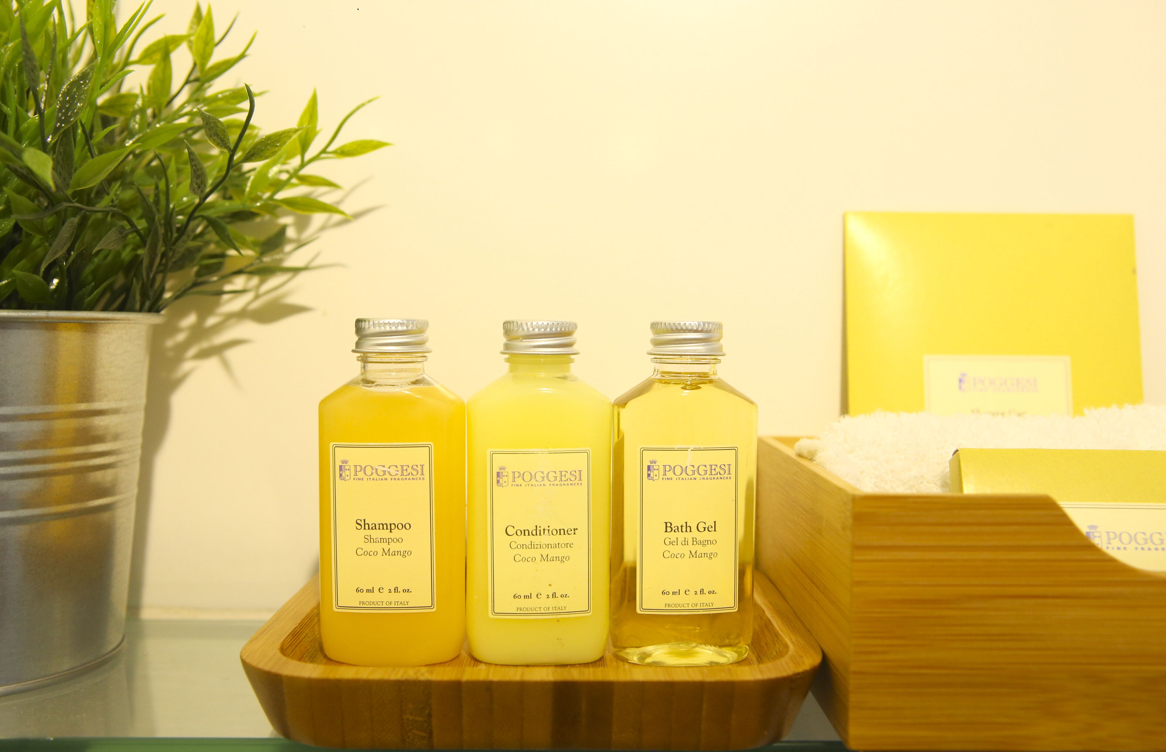 Douche, serviettes fournies