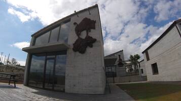 A modern building with a large stone lion sculpture on the facade, large windows, and a paved walkway.