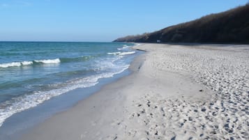 在海灘附近、躺椅