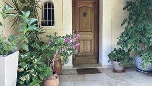 A wooden door with a small window above it, surrounded by various potted plants.