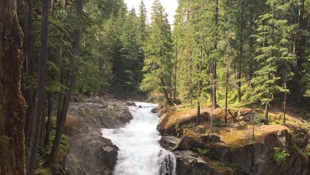 A waterfall cascading over rocks in a forested area.