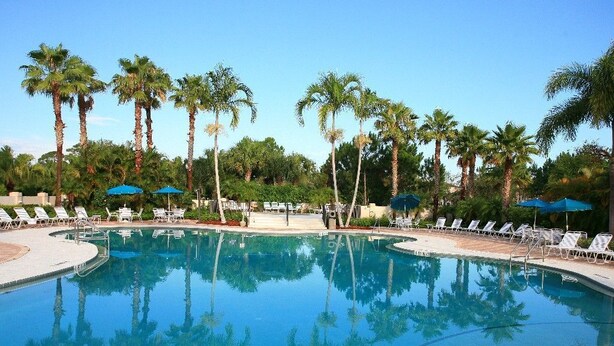 Una piscina de aguas cristalinas y azules, rodeada de palmeras y sillas de descanso.