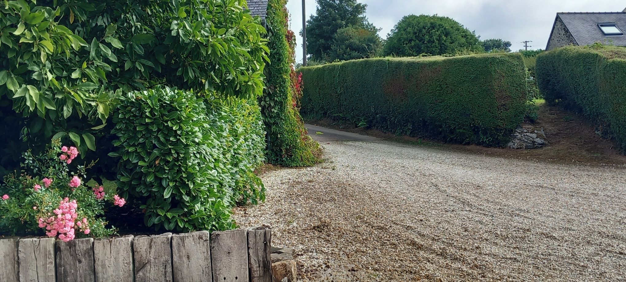 A gravel driveway leading to a house with a wooden fence and a hedge.