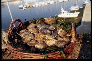 Opções para refeição