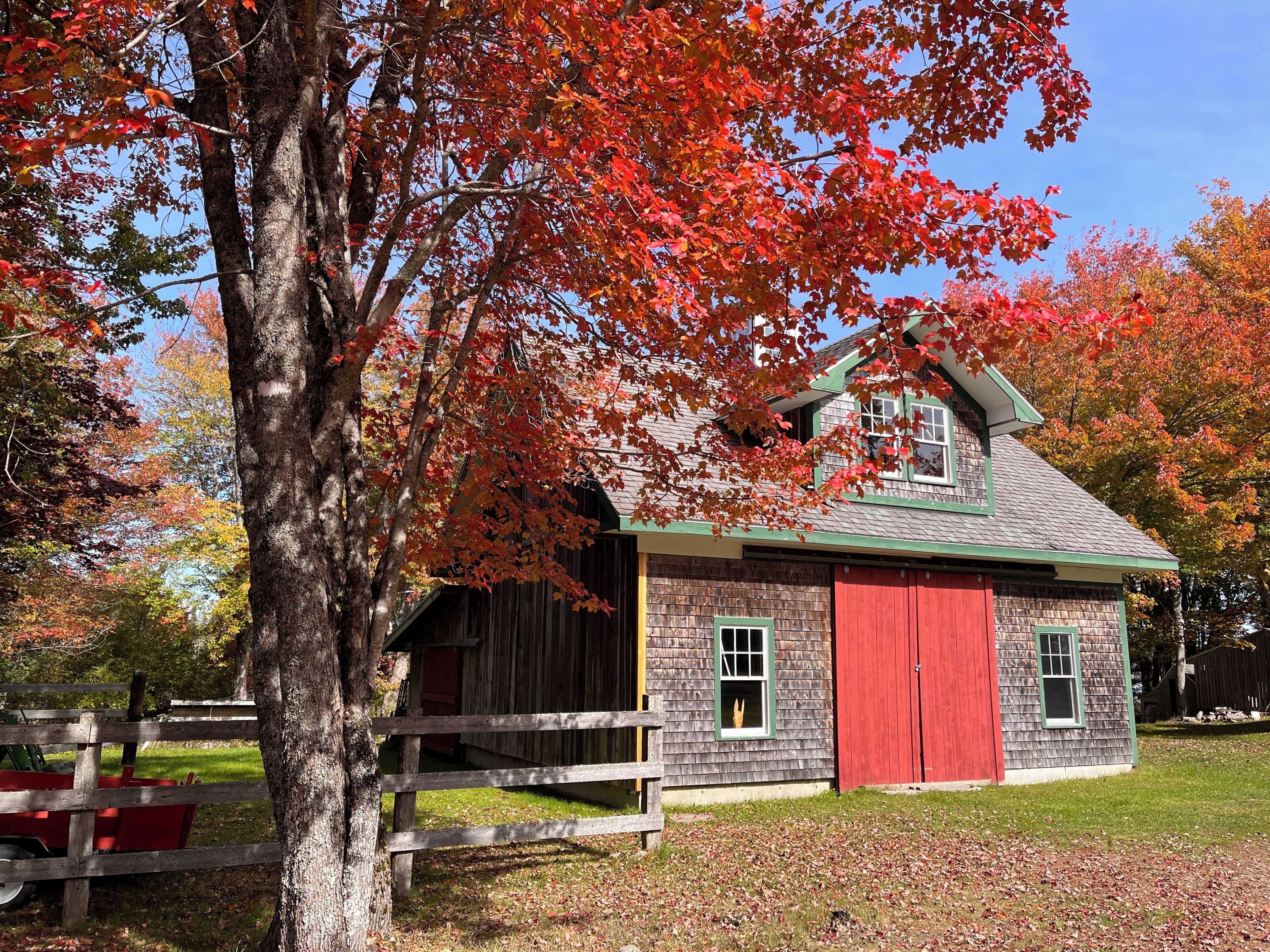 A rustic wooden building with a red barn door, surrounded by trees with autumn foliage.