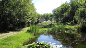 A serene pond with lily pads, surrounded by lush greenery and a house in the background.