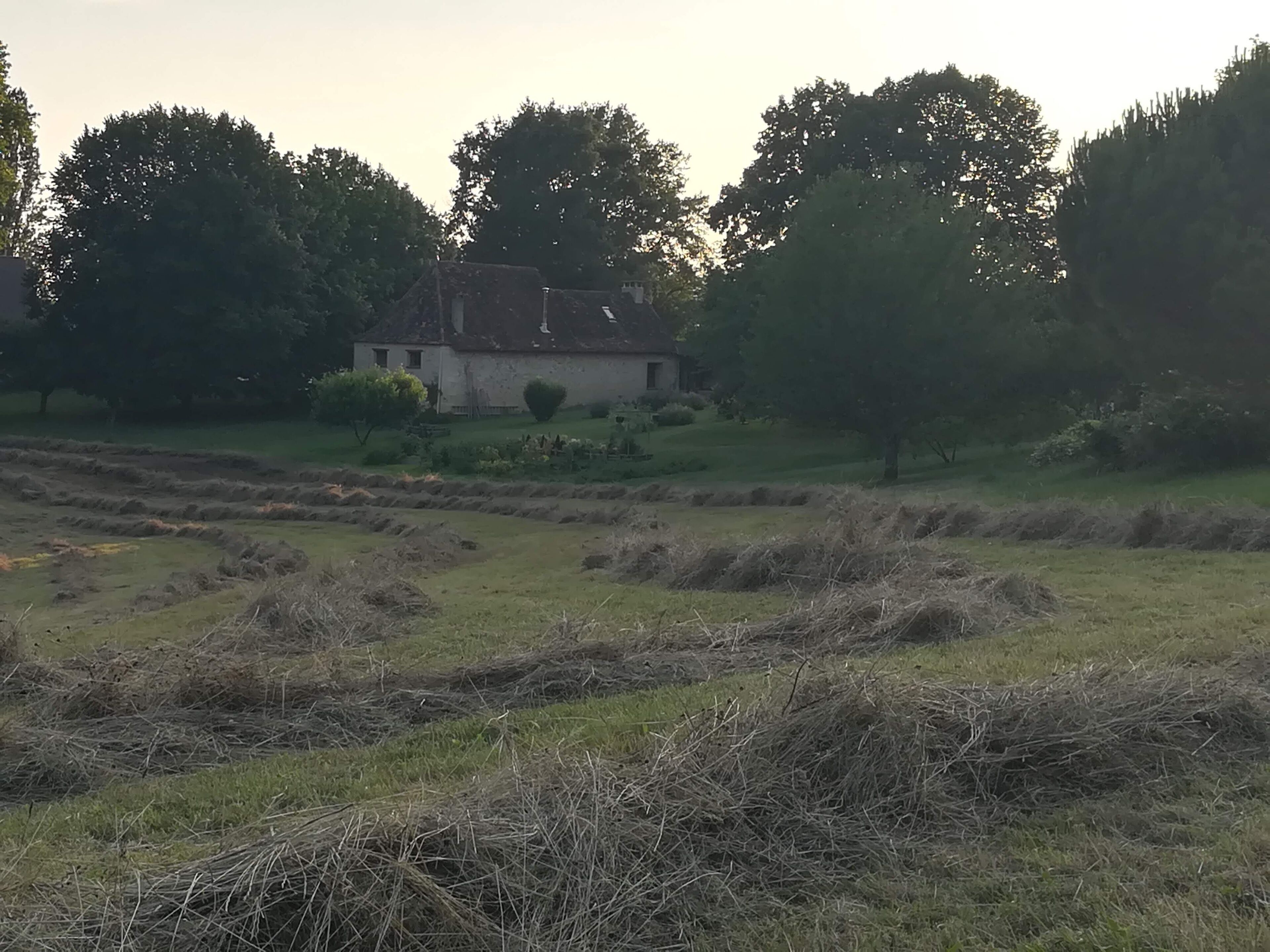 Landskab med et hus omgivet af træer og marker.