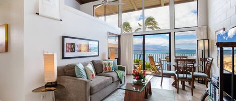 电视、DVD 播放器、书、影片库