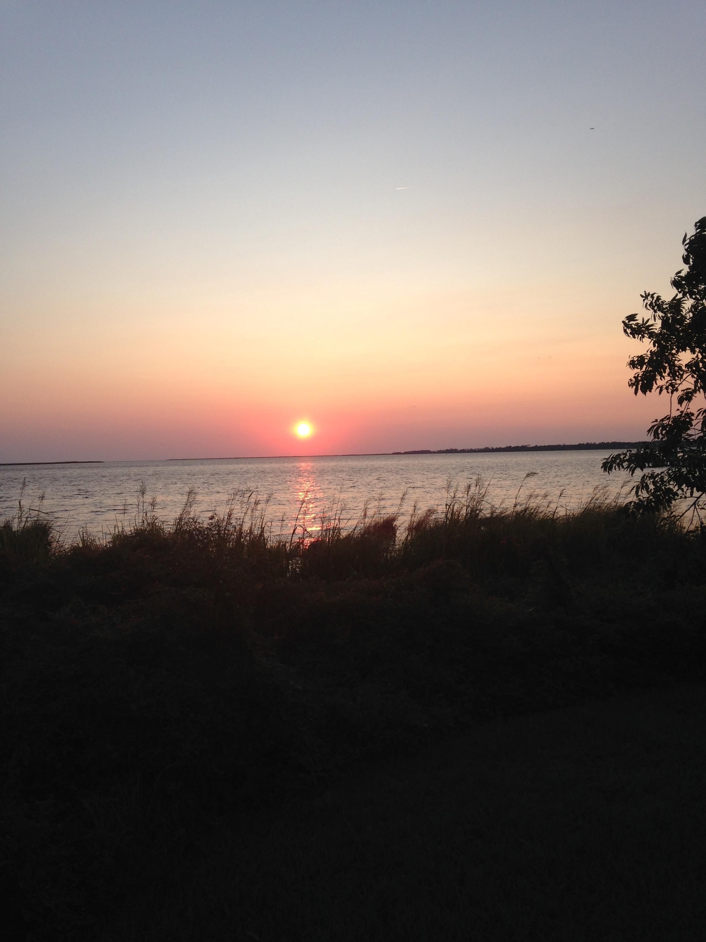 Ein Sonnenuntergang über ruhigem Wasser, mit der Silhouette eines Baumes auf der rechten Seite.