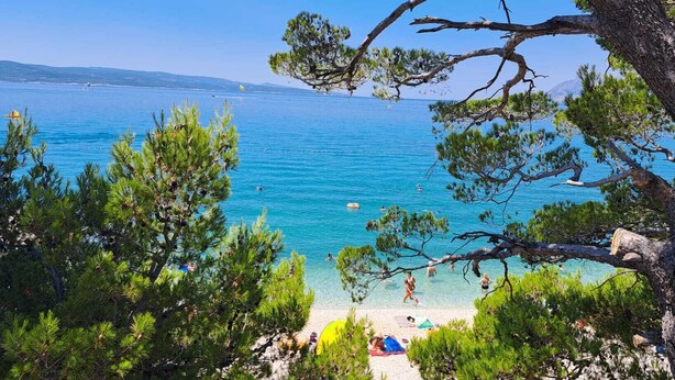 A beach with clear blue water, surrounded by pine trees and a rocky shoreline.