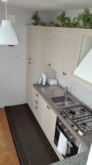 Fridge, oven, stovetop, coffee/tea maker