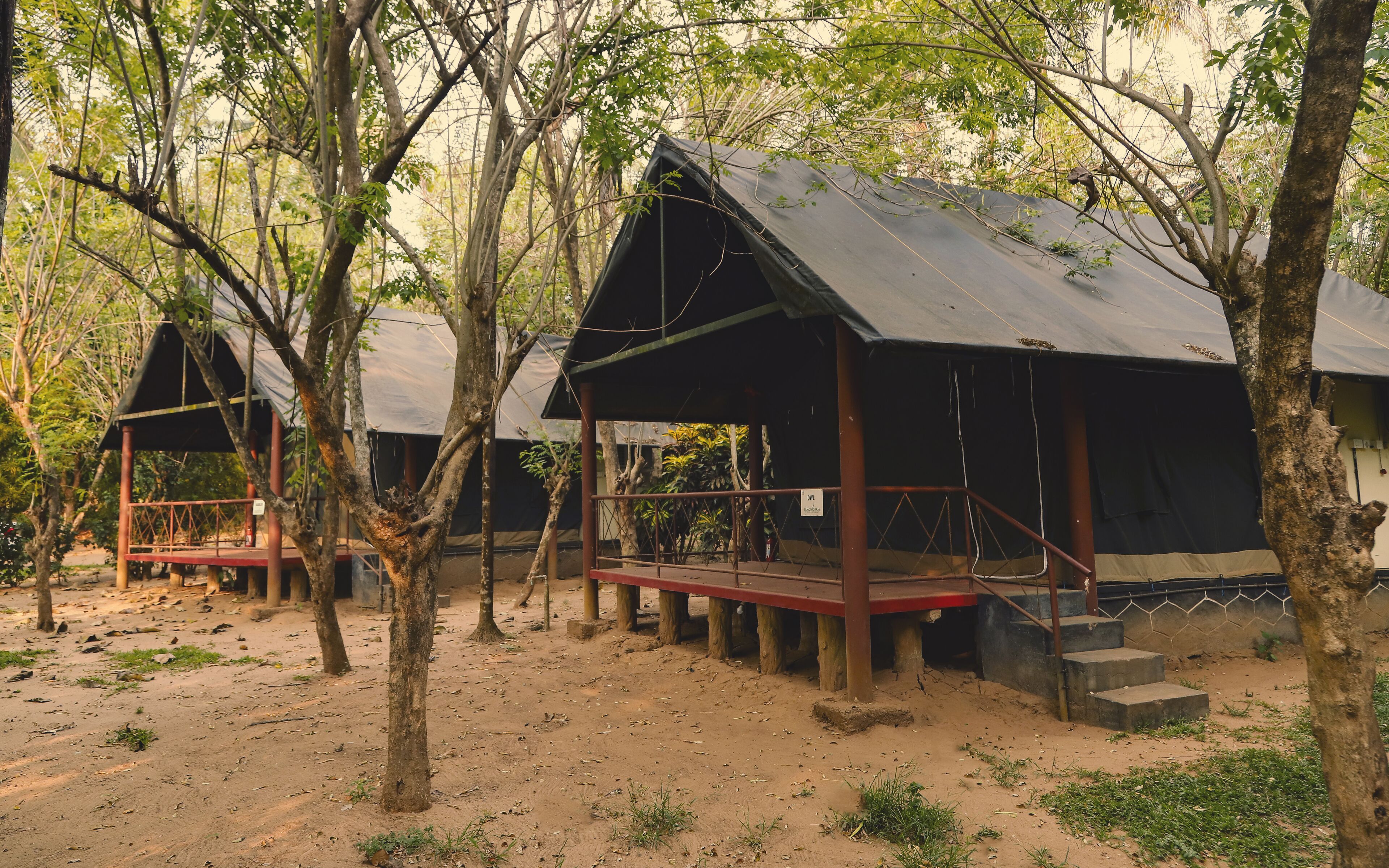 A campsite with two wooden structures, each with a porch and steps leading up to a platform.