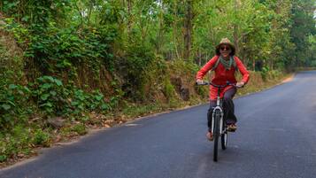 A person riding a bicycle on a road surrounded by dense greenery.