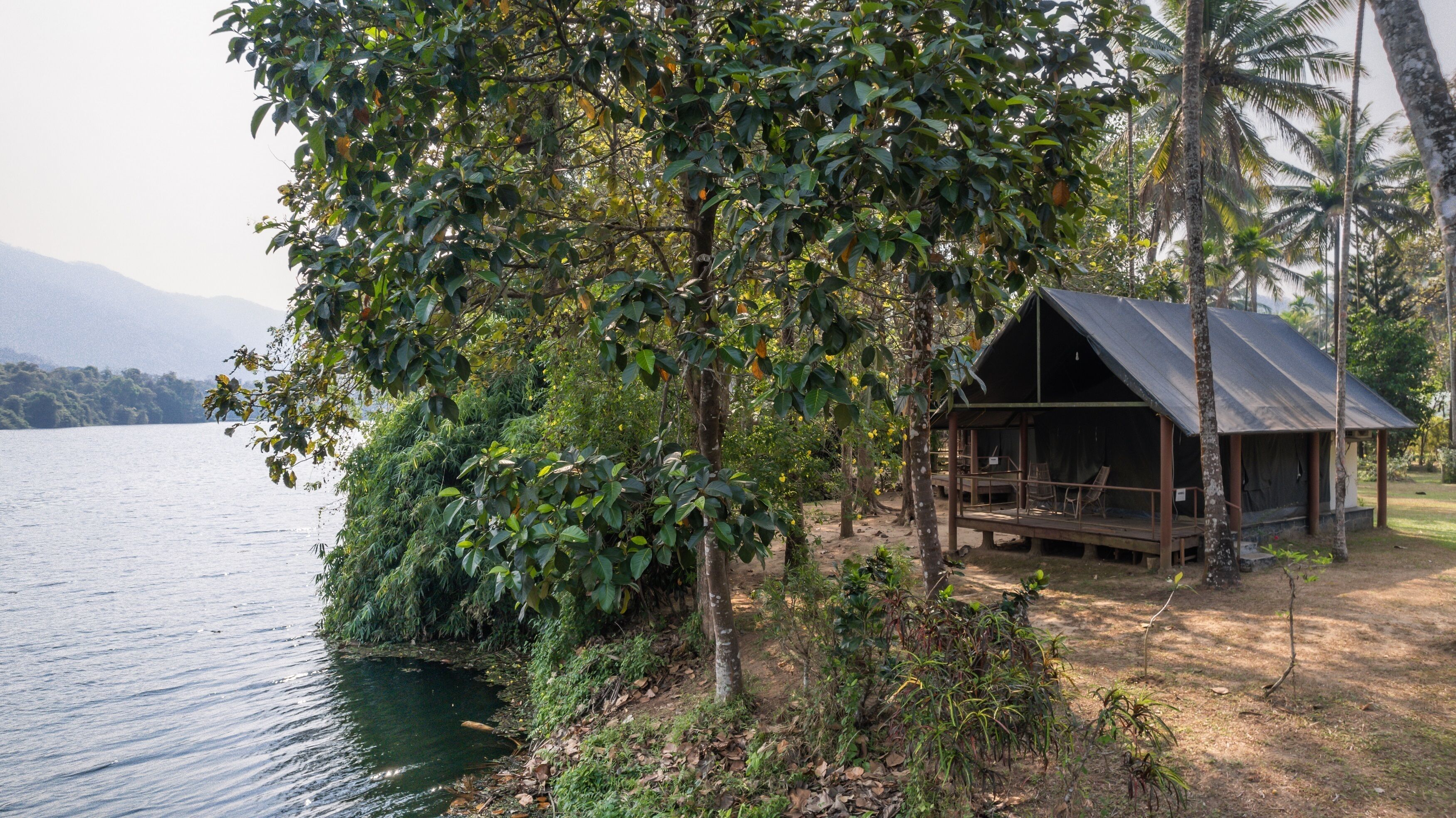 A wooden cabin by a lake with a thatched roof, surrounded by dense foliage and palm trees.
