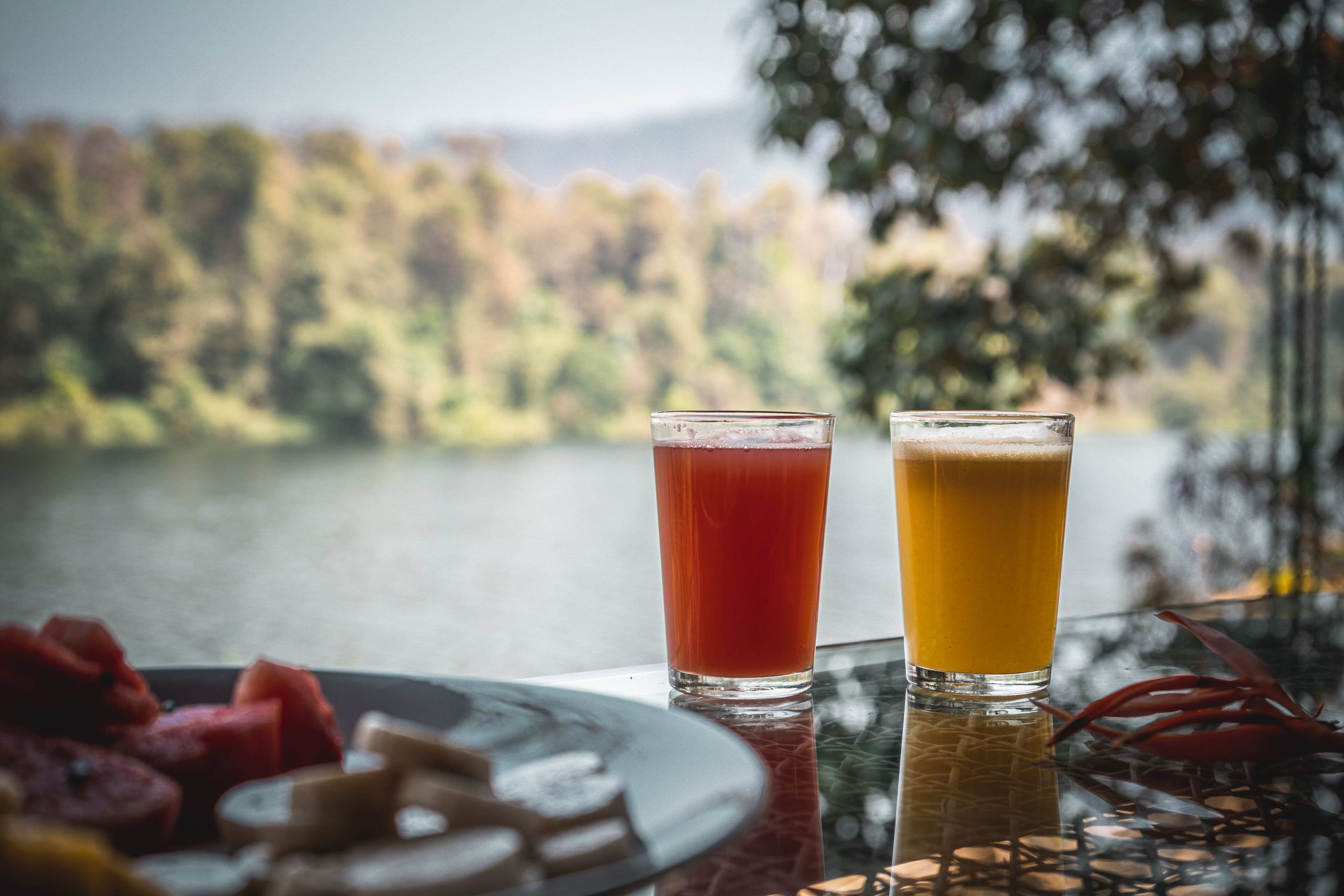 Two glasses of beverages on a table with a scenic view of a lake and forest in the background.