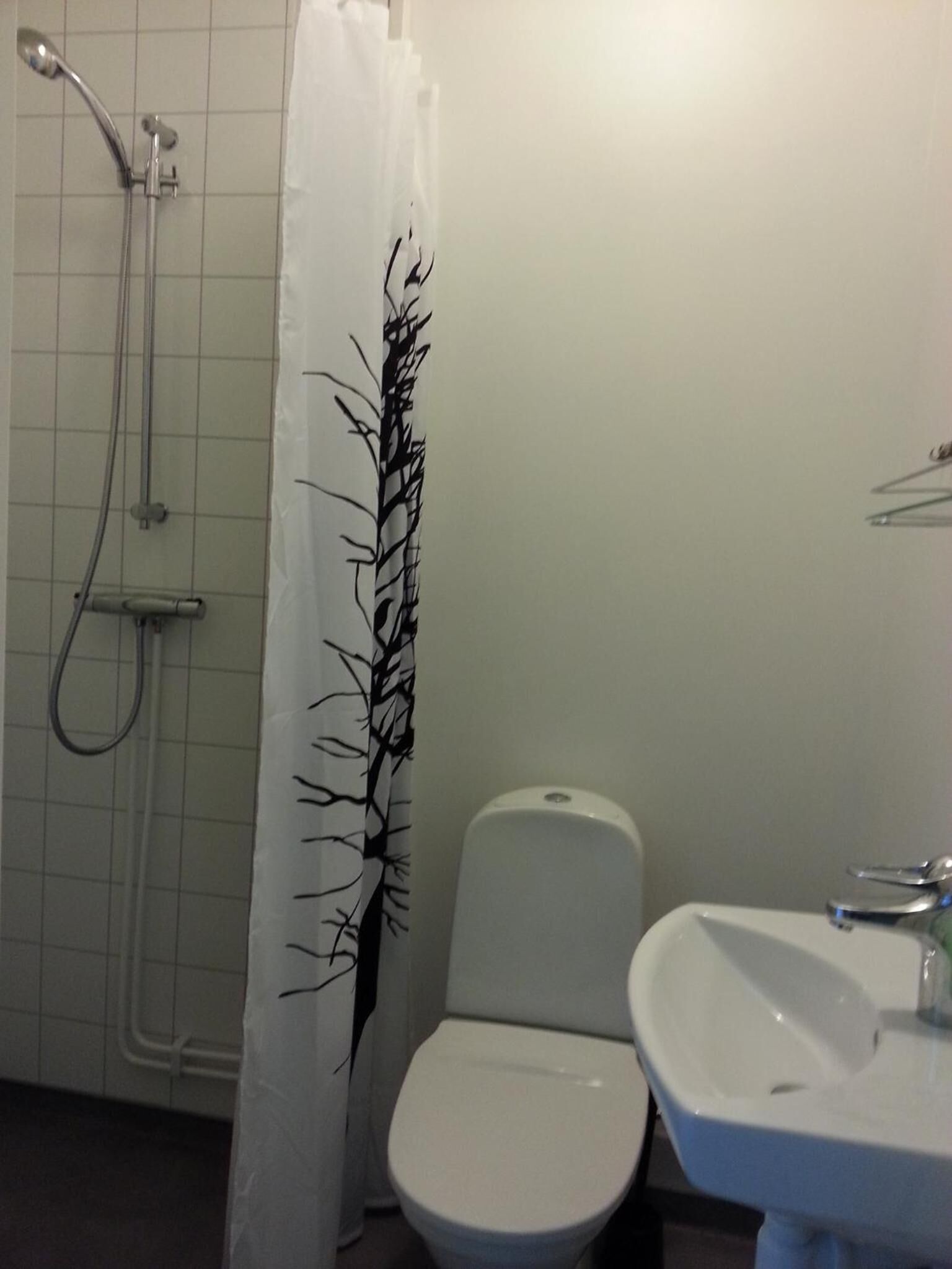 Une salle de bain avec douche, toilettes et lavabo.