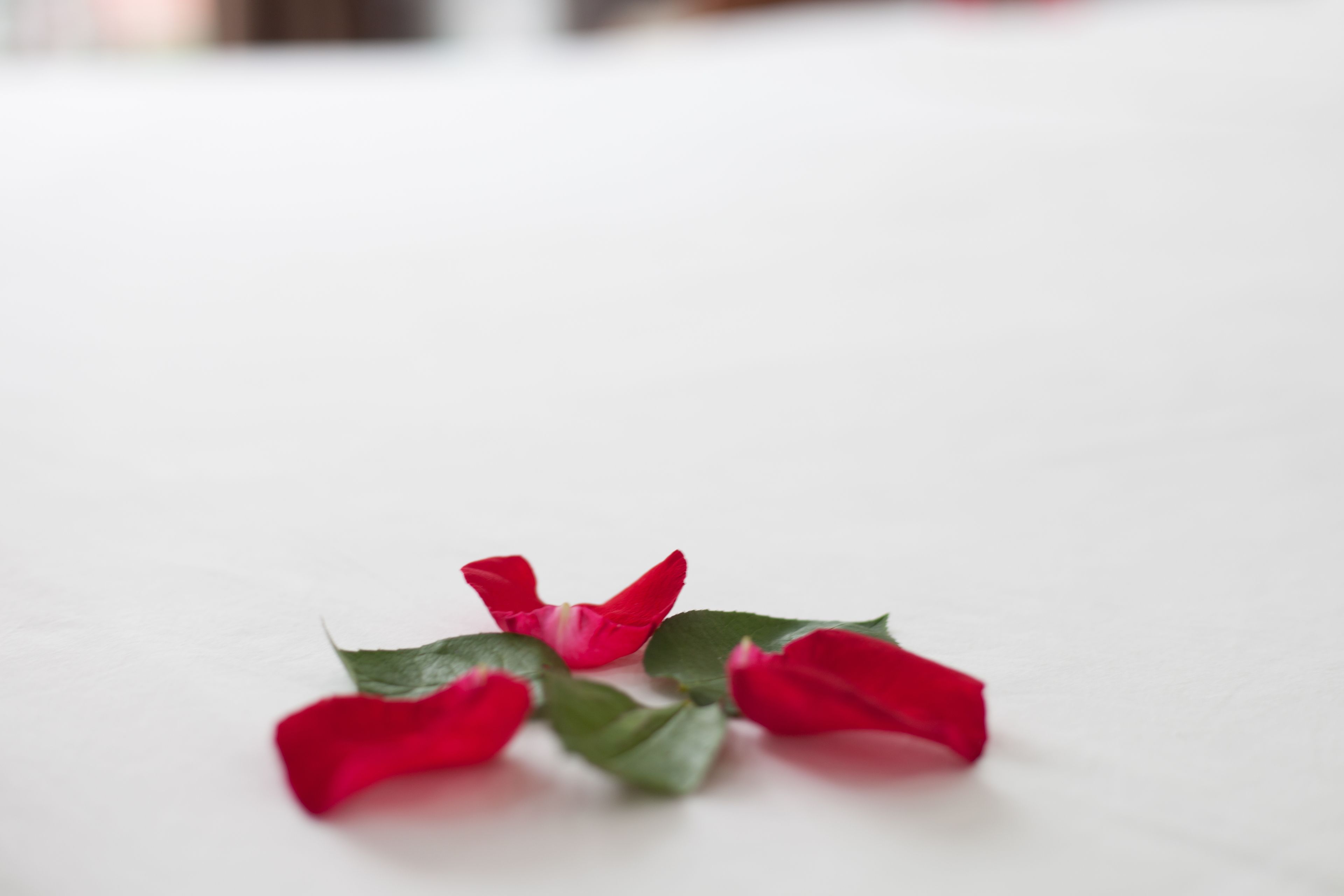 Photo - Hanoi Bel Ami Hotel