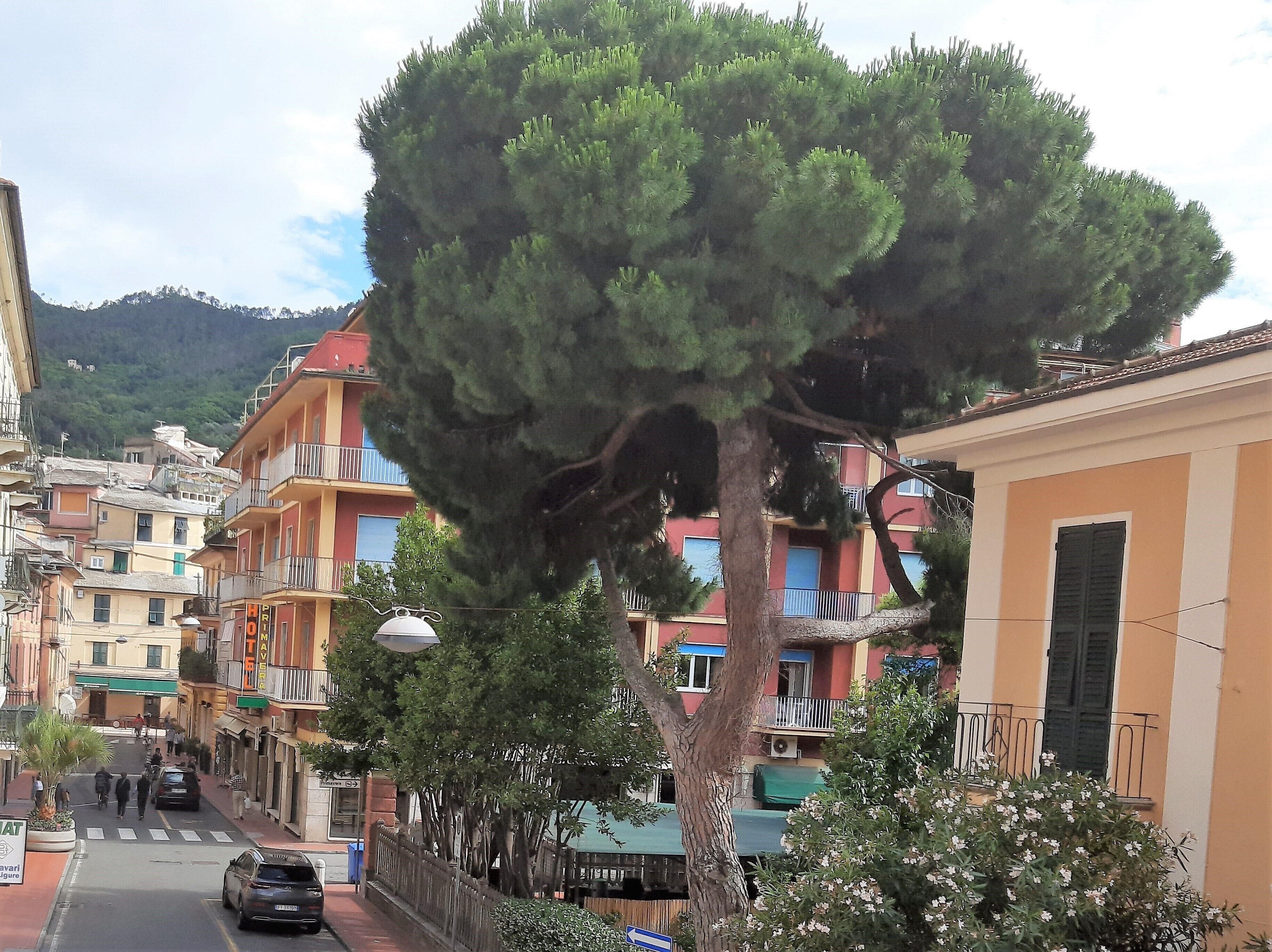 Foto - Hotel Palazzo Vannoni