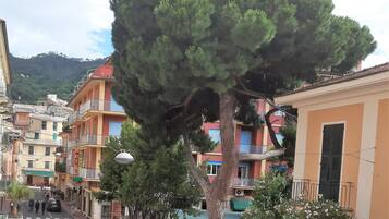 A street with buildings, a tree, and a car.