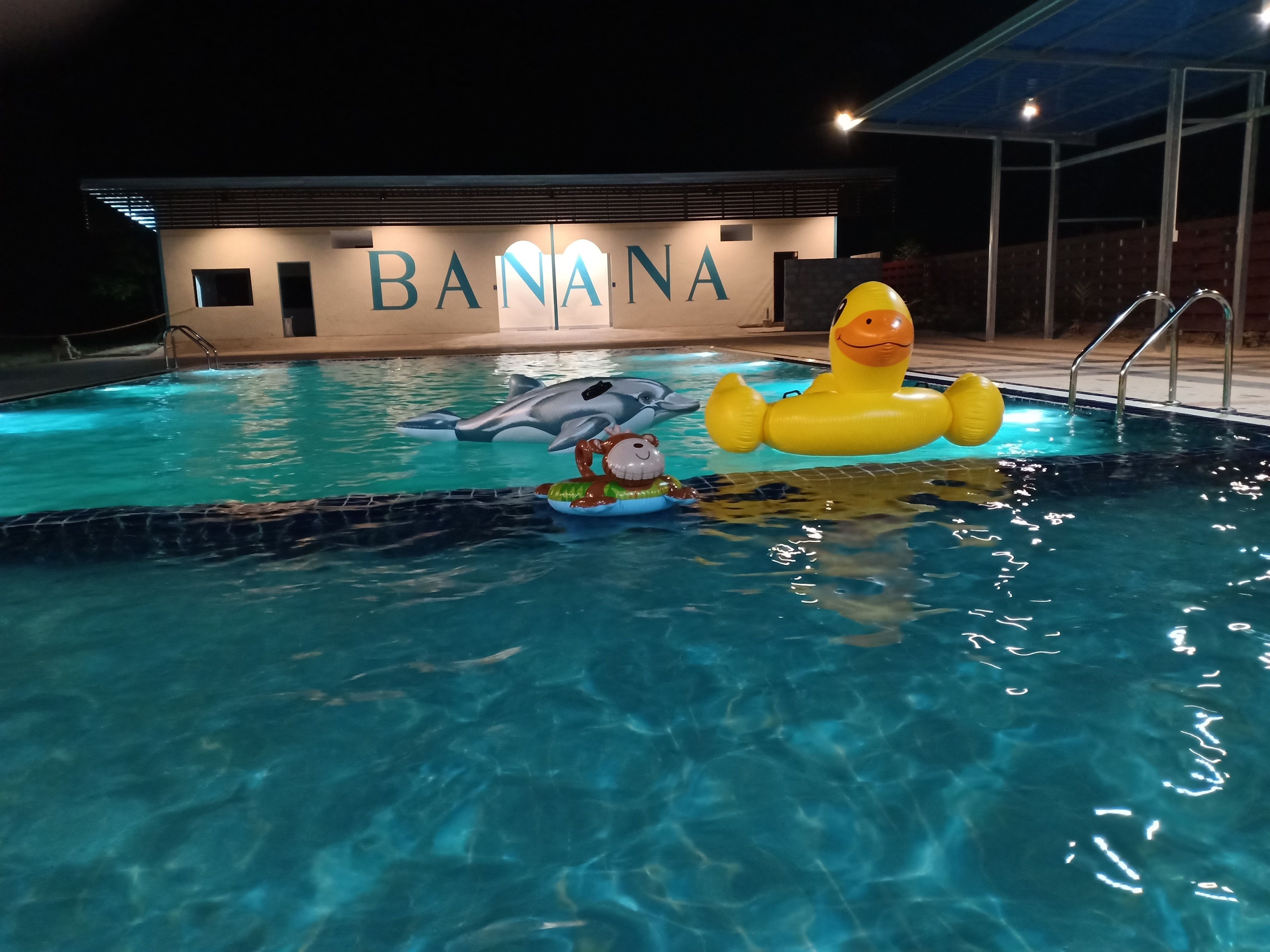 Ein Swimmingpool mit Schwimmspielzeug, einem Delfin und einer Ente. Im Hintergrund ein Gebäude, auf dem das Wort "BANANA" leuchtet.
