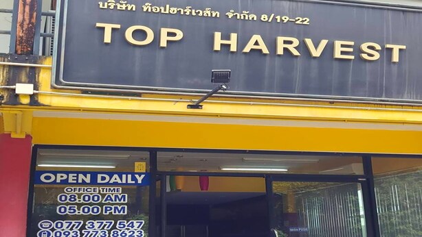 A storefront named "TOP HARVEST" with a sign indicating it's open daily from 08:00 AM to 05:00 PM. - Top Harvest Rental - Hostel (Ko Pha-ngan)