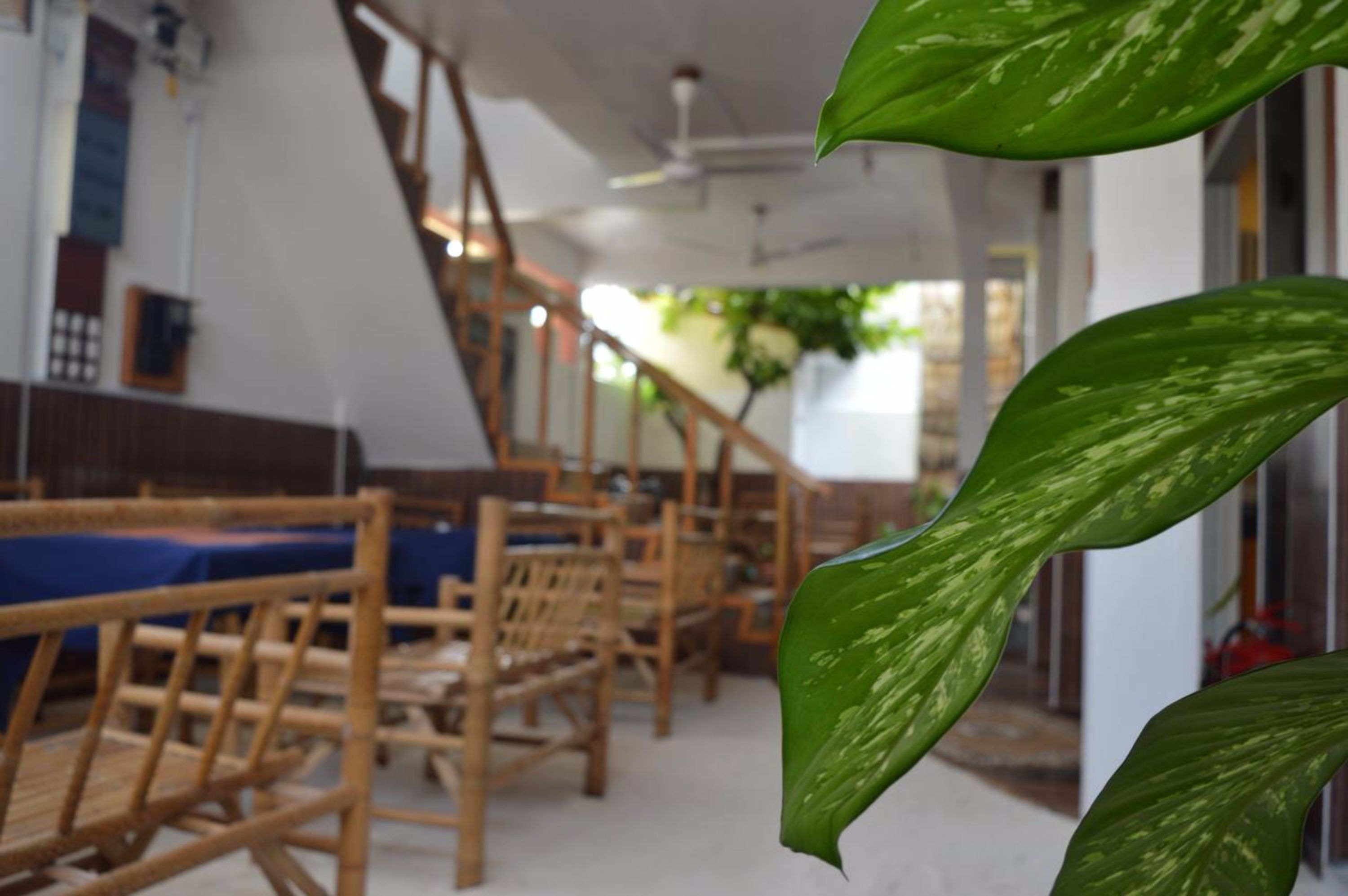 Daily continental breakfast (USD 10 per person)