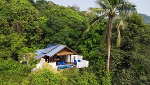 A small house with a blue roof nestled in a lush forest, surrounded by dense greenery and a palm tree. - The Place Luxury Boutique Villas (Koh Tao)