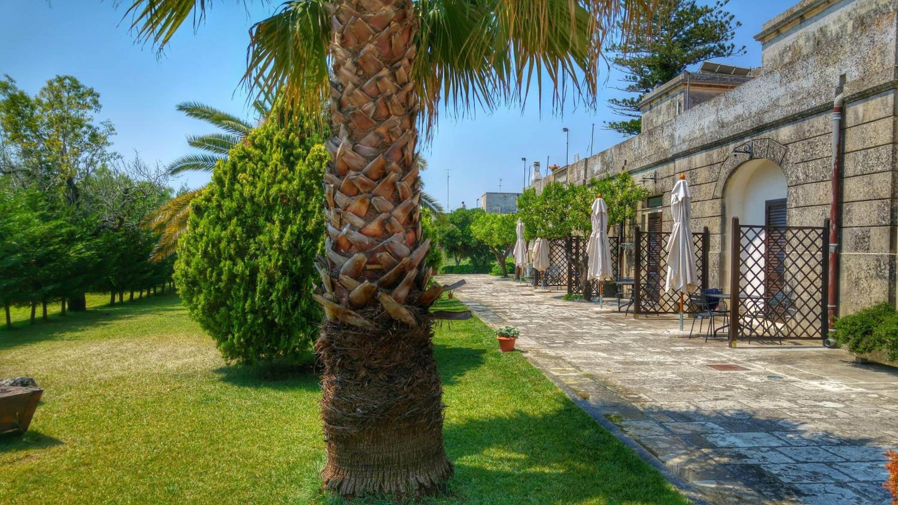 Foto - Villa Papaleo B&B