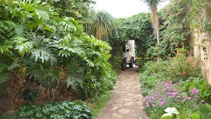 A stone pathway surrounded by lush greenery and flowering plants.