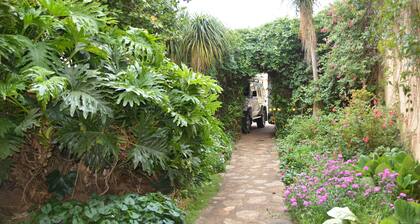 Thaba Tsweni Lodge and Safaris