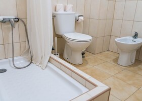 Habitación con 2 camas individuales, baño privado (Exterior) | Baño | Toallas