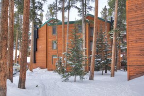 コンドミニアム 2 ベッドルーム | 施設の敷地