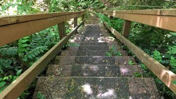 Cabin, 2 Bedrooms | Property grounds