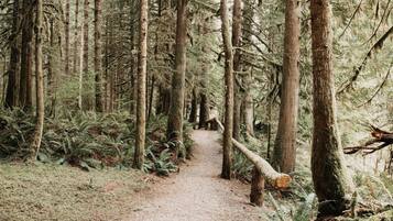 Condo, 2 Bedrooms | Property grounds