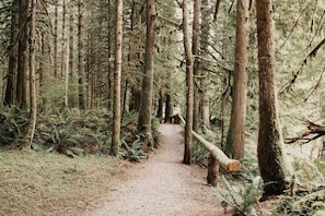 Condo, 2 Bedrooms | Property grounds - 84sw - Sauna - Soaker Tub - Fireplace - Sleeps 6 2 Bedroom Home by RedAwning (Deming)