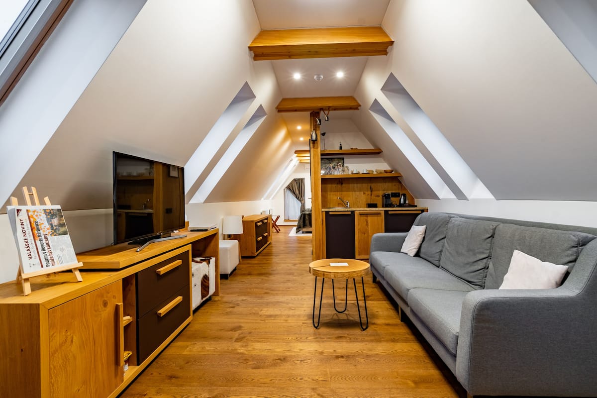 Exclusive Apartment | Minibar, in-room safe, desk, blackout drapes