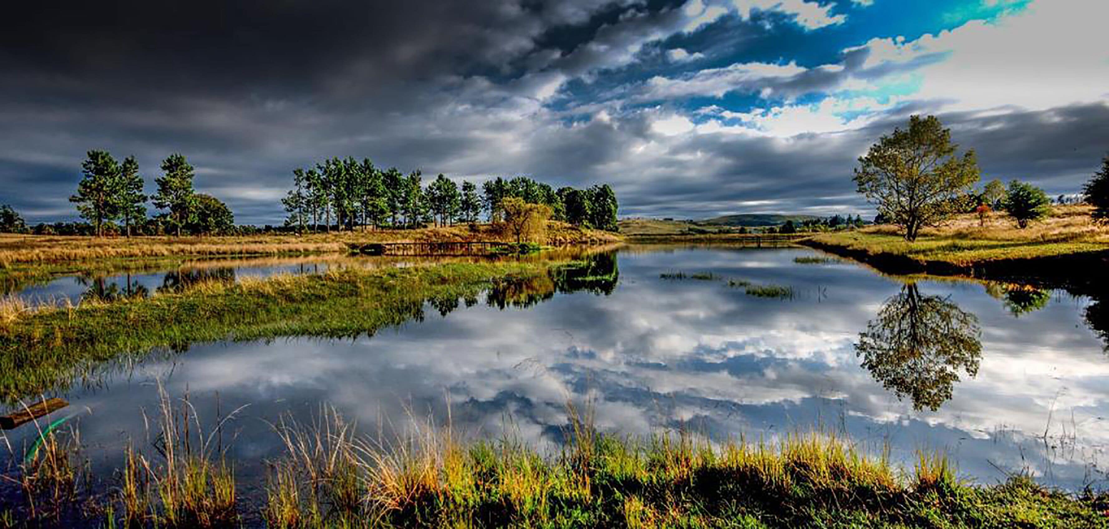 A serene landscape with a calm lake reflecting trees and sky.