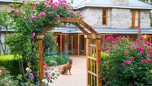Ein Steinhaus mit einer Holzwinde, die mit rosa Blüten bedeckt ist, ein Hund im Vordergrund und ein Gartenweg, der zum Gebäude führt.