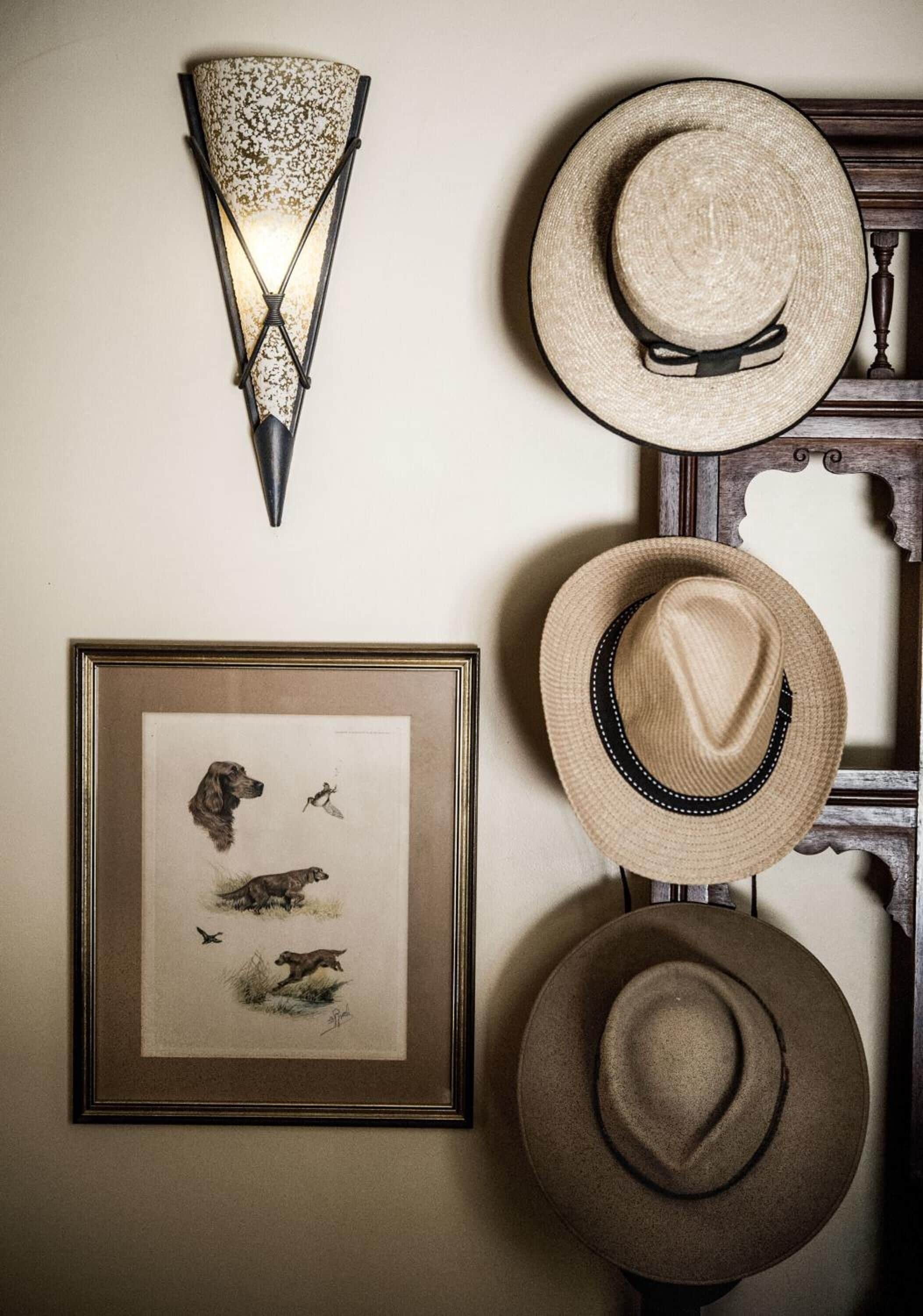 A wall with a framed wildlife illustration, a wall-mounted light fixture, and several hats arranged vertically.