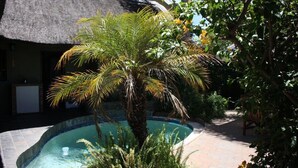 A pool area with a palm tree, a thatched-roof structure, and a pathway. - Klein Windhoek Guesthouse (Windhoek)